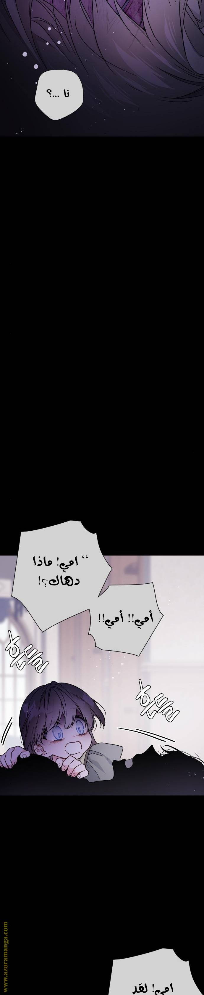 الصفحة 17