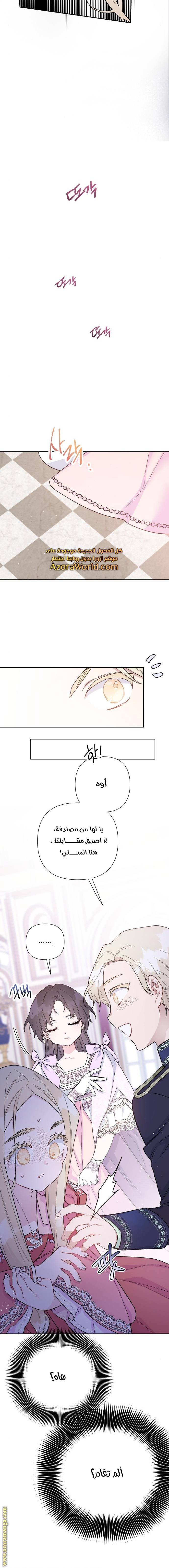 الصفحة 12
