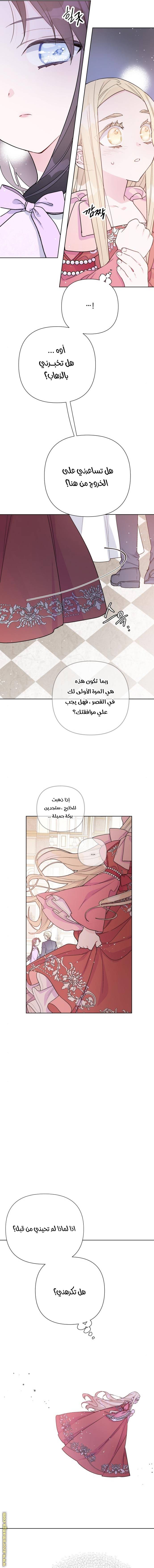 الصفحة 13