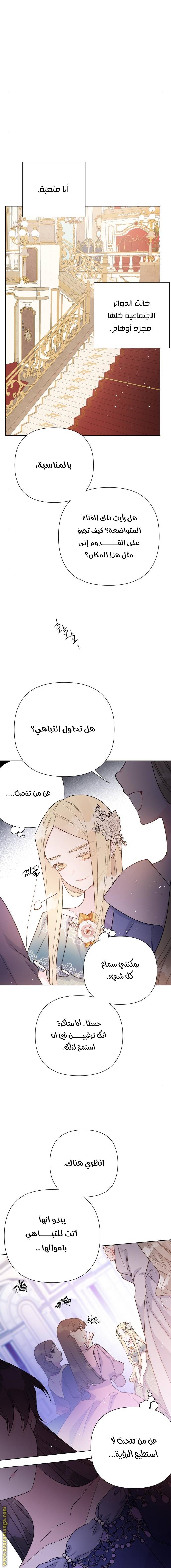 الصفحة 17