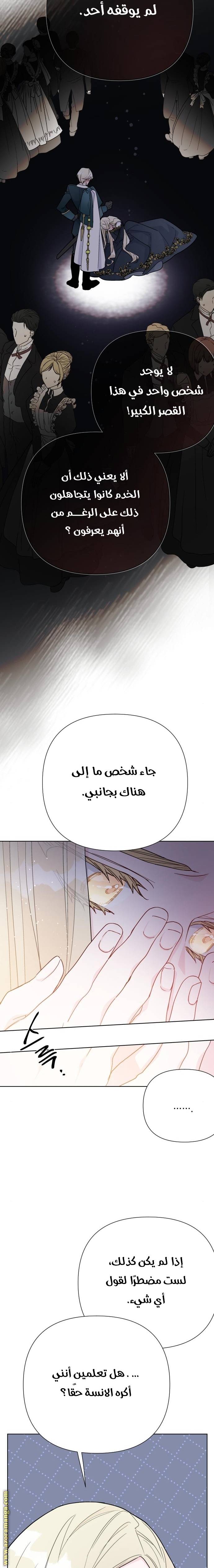الصفحة 15