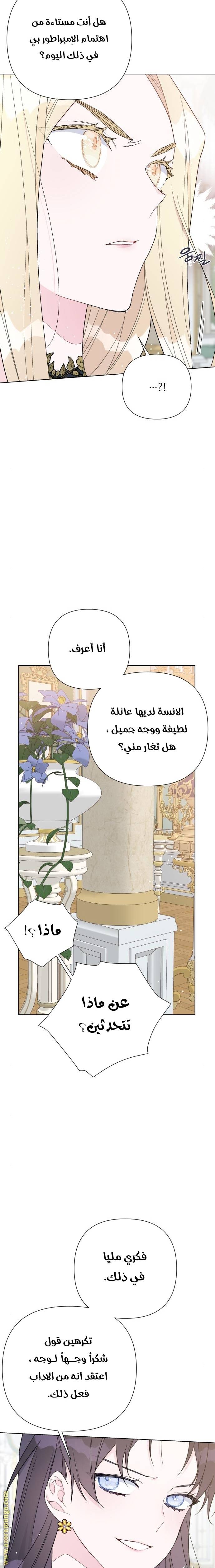 الصفحة 17