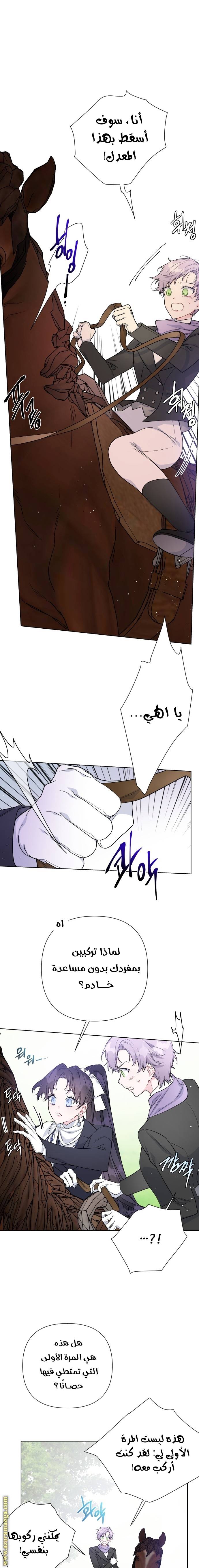 الصفحة 11