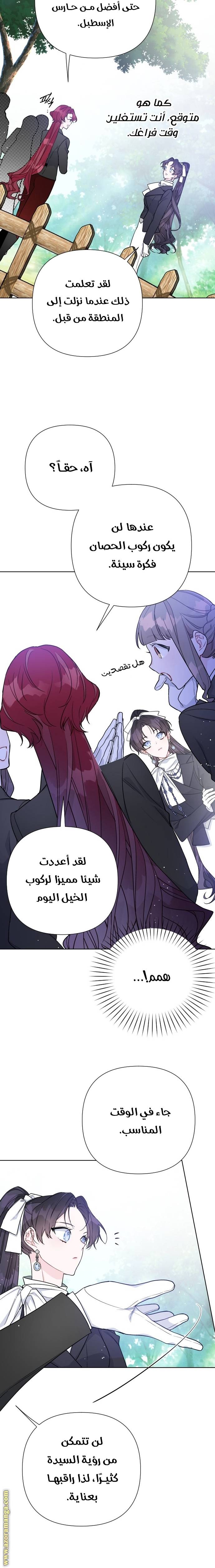 الصفحة 17