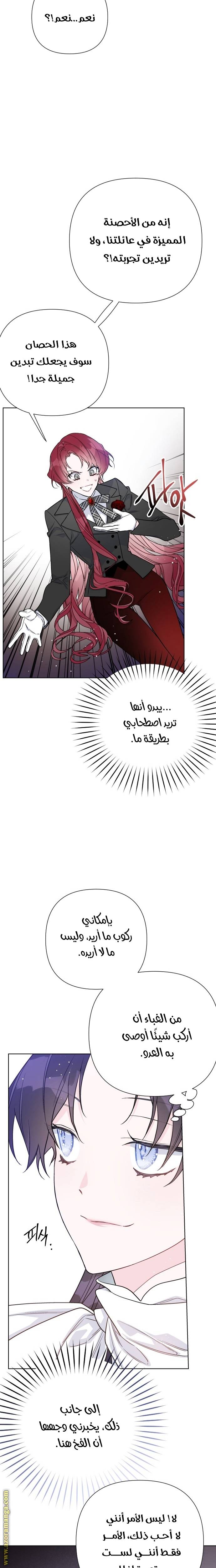 الصفحة 19