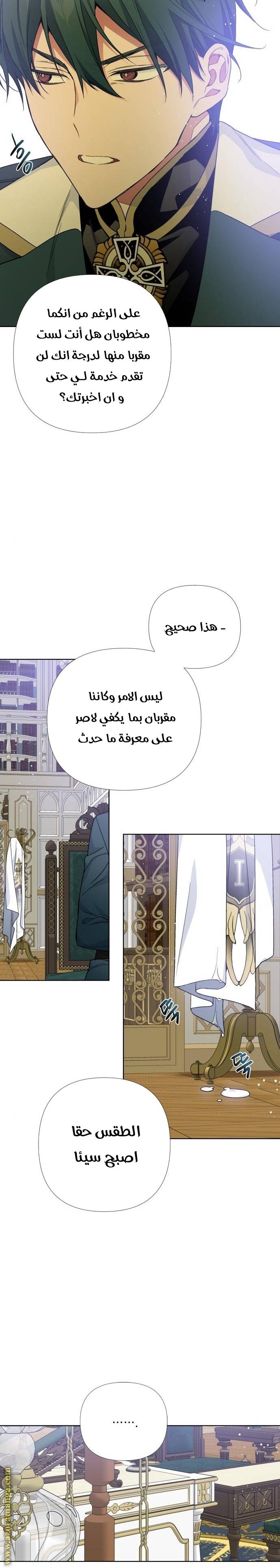 الصفحة 7