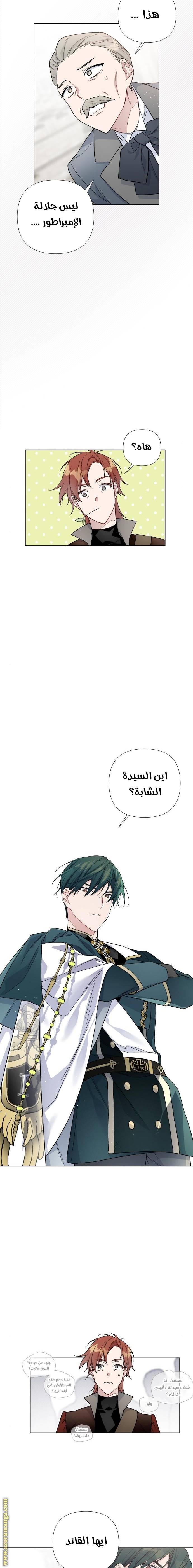 الصفحة 11
