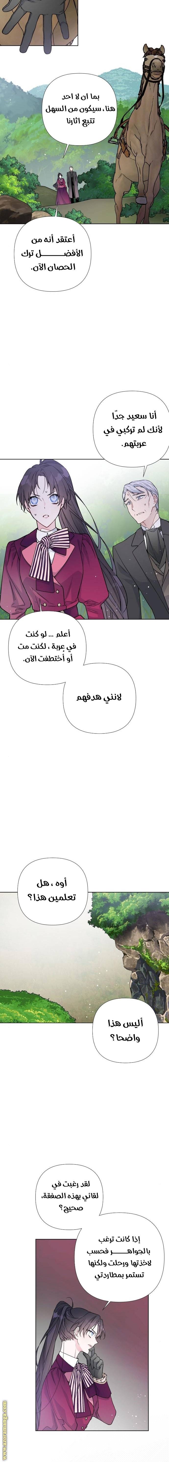 الصفحة 17