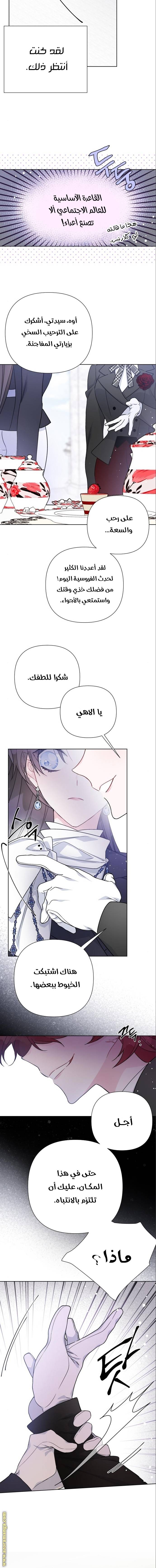 الصفحة 12
