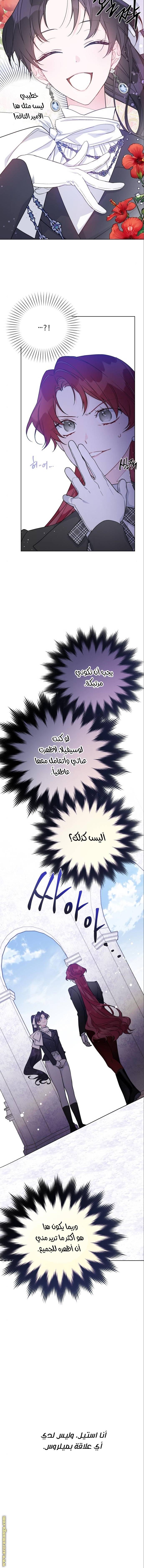 الصفحة 15