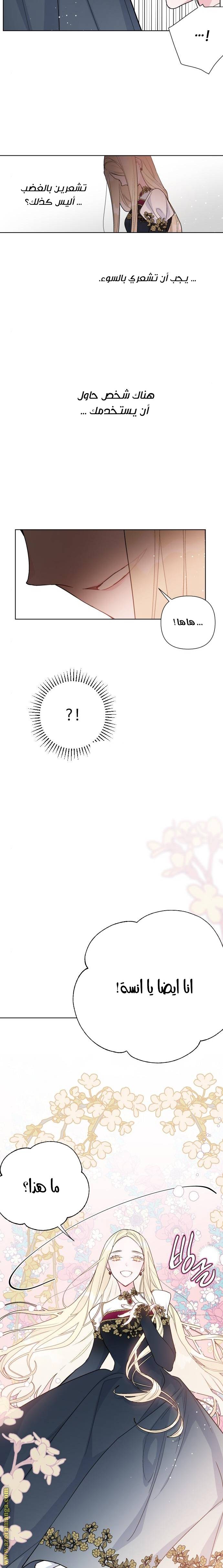 الصفحة 17
