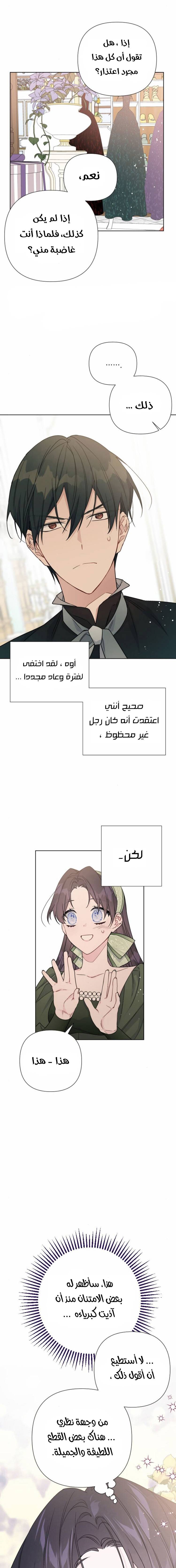 الصفحة 13