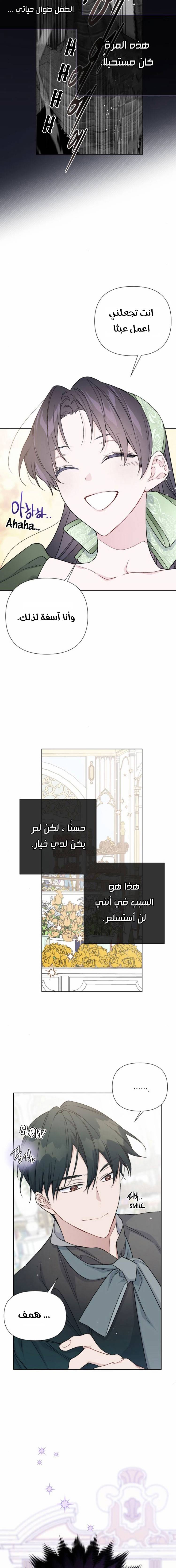 الصفحة 17