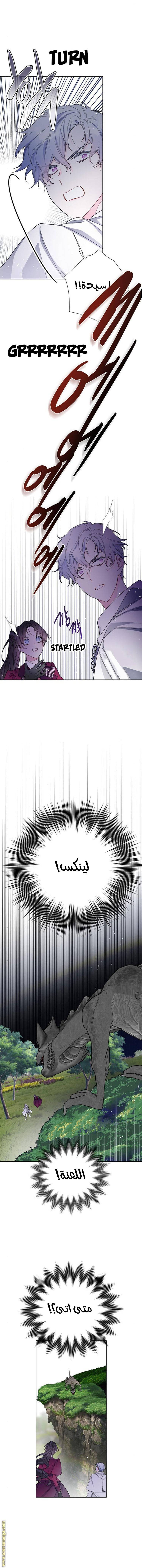 الصفحة 12