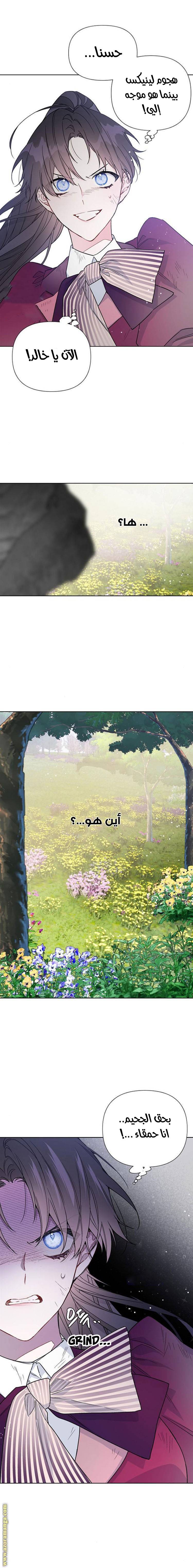 الصفحة 19
