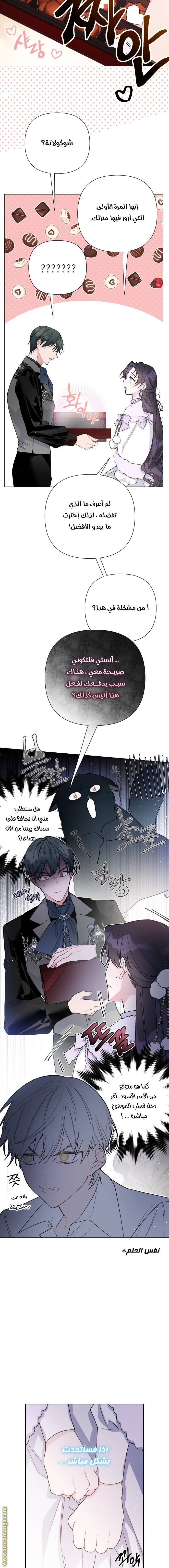 الصفحة 3