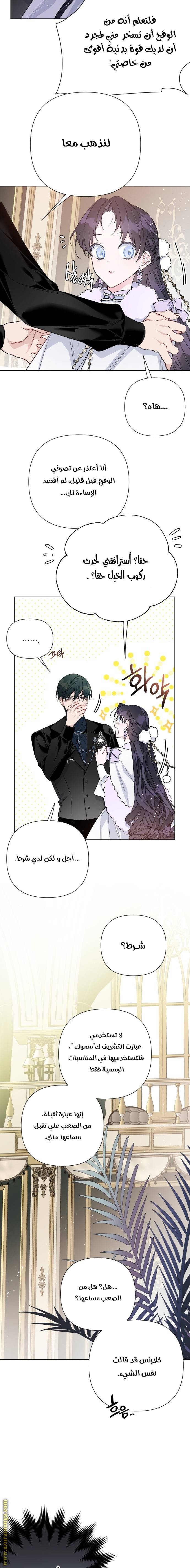 الصفحة 16