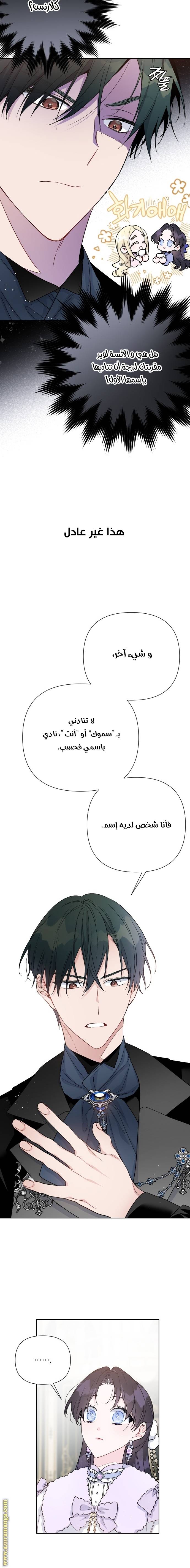 الصفحة 17