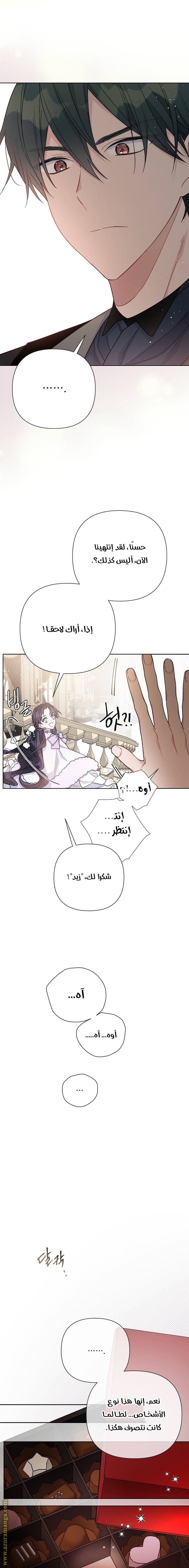 الصفحة 19