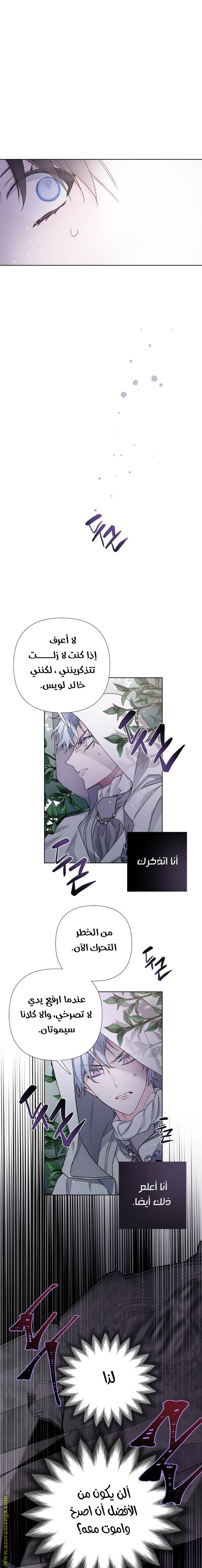 الصفحة 15