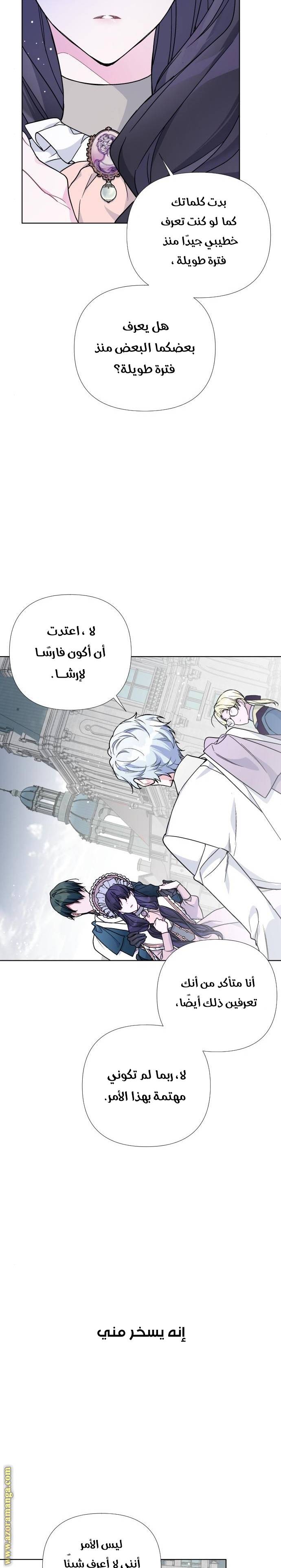 الصفحة 17