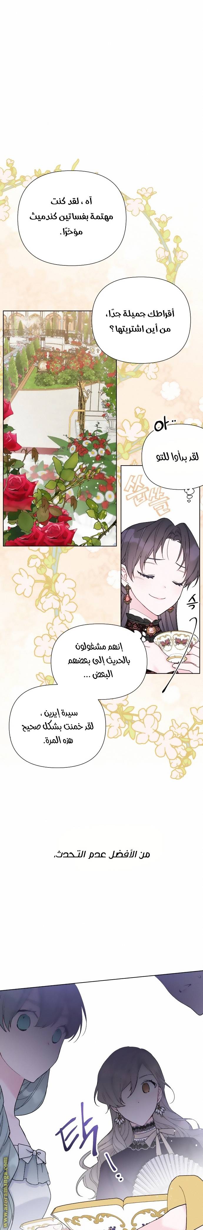 الصفحة 19