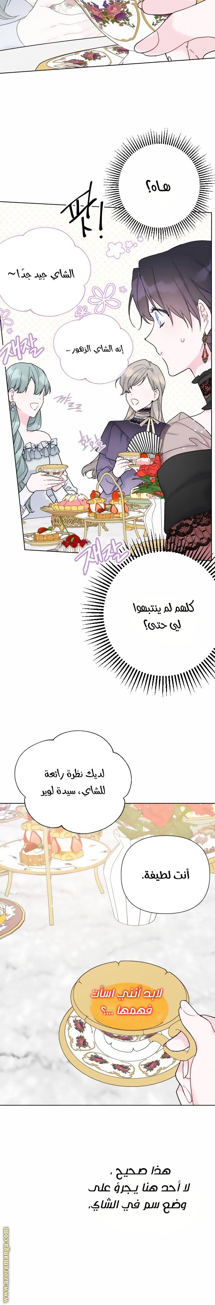 الصفحة 20