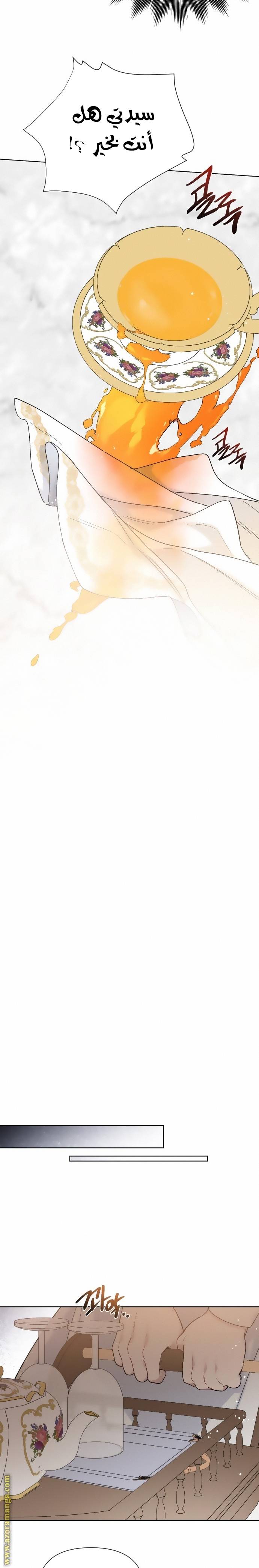 الصفحة 24