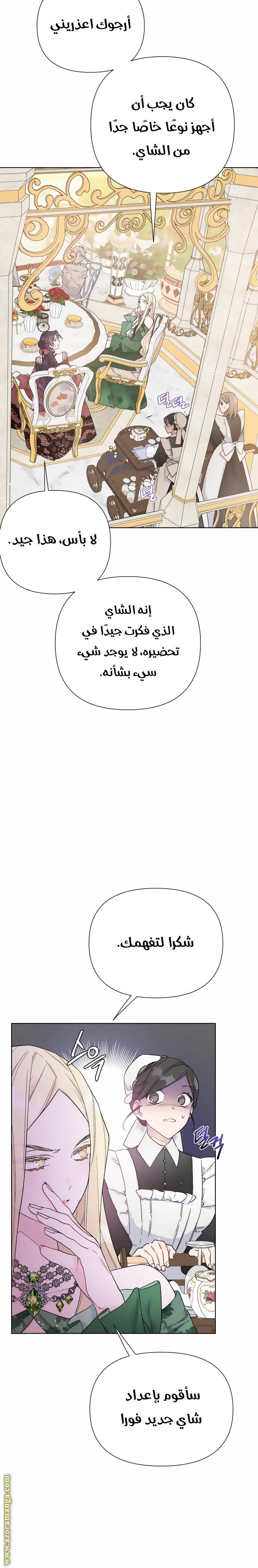 الصفحة 25