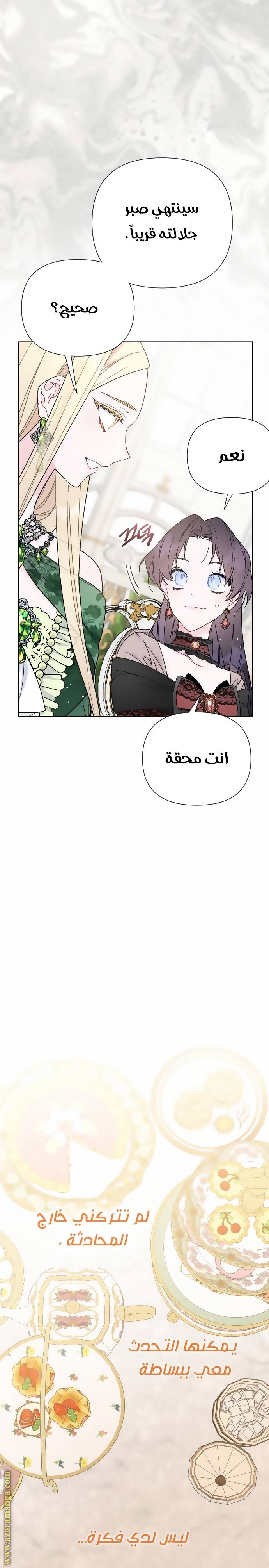 الصفحة 29
