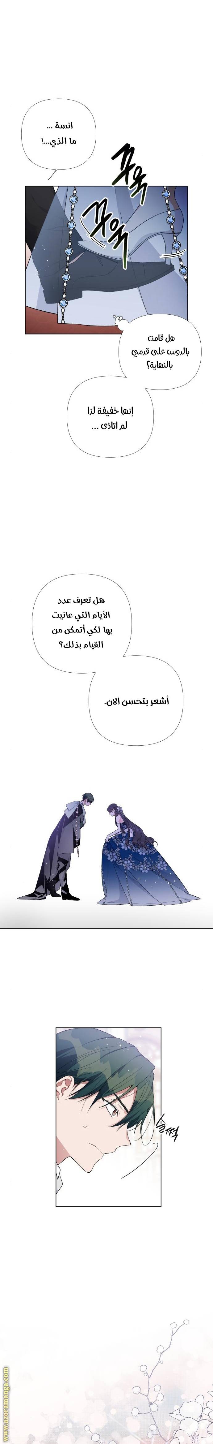 الصفحة 12