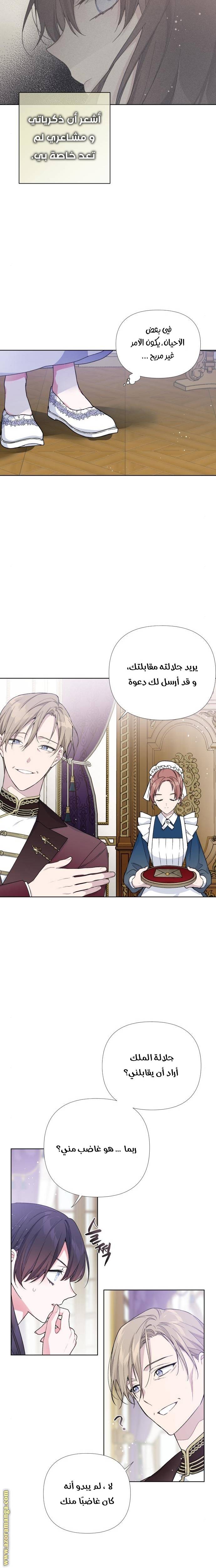 الصفحة 17