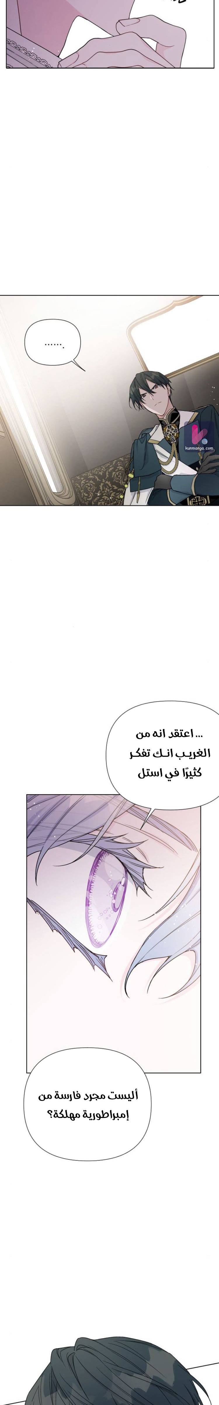 الصفحة 17