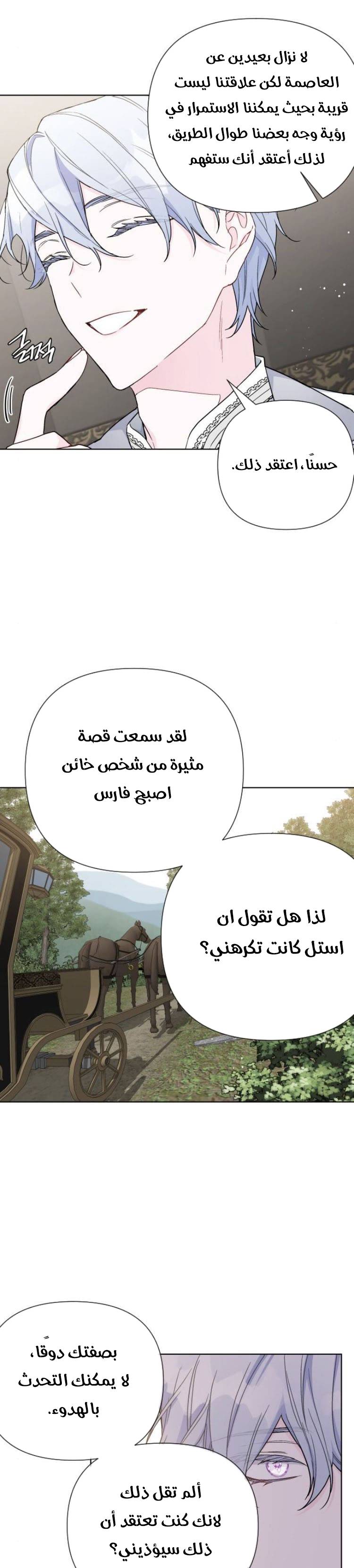 الصفحة 19