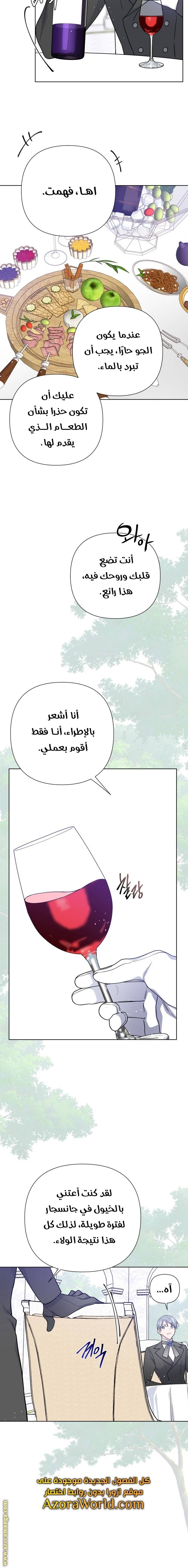 الصفحة 13