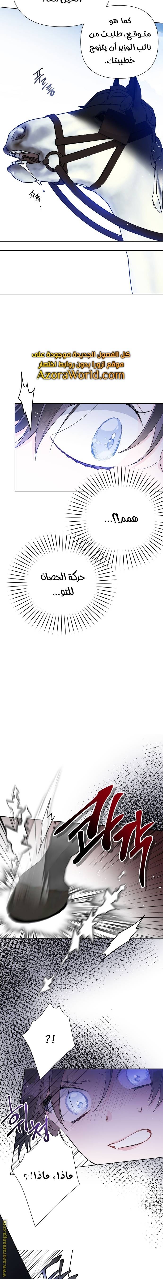 الصفحة 17