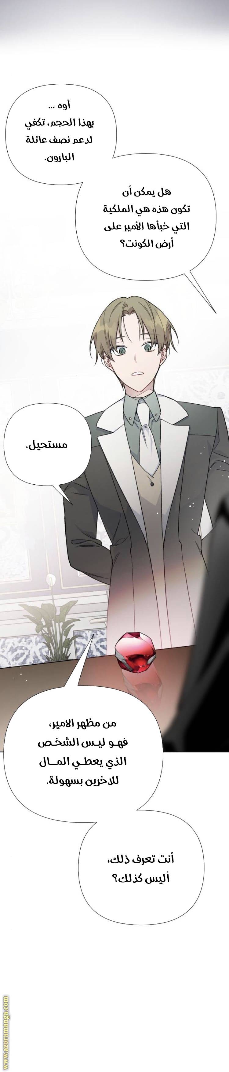 الصفحة 13