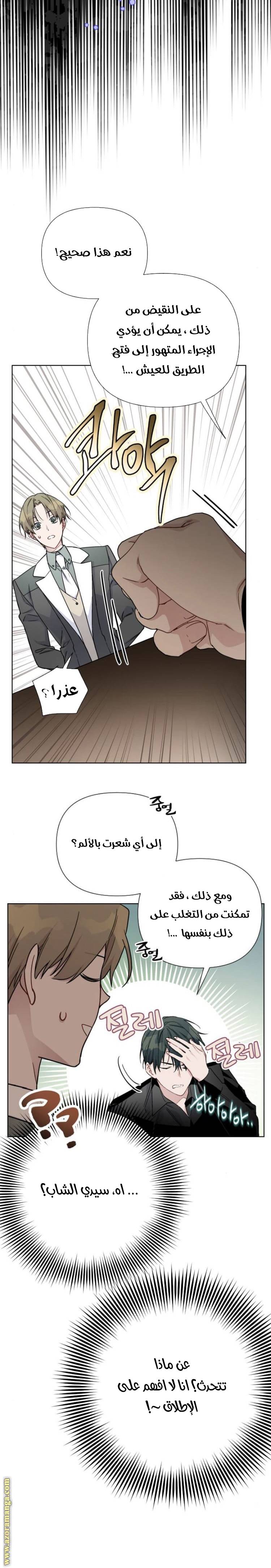الصفحة 25