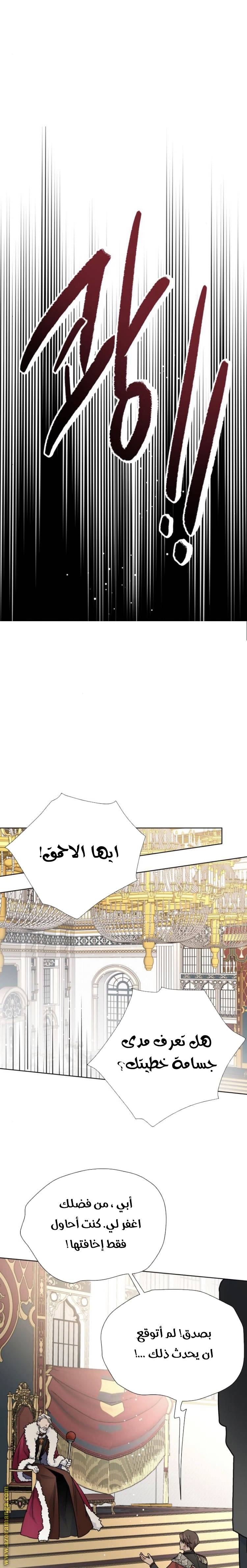 الصفحة 26