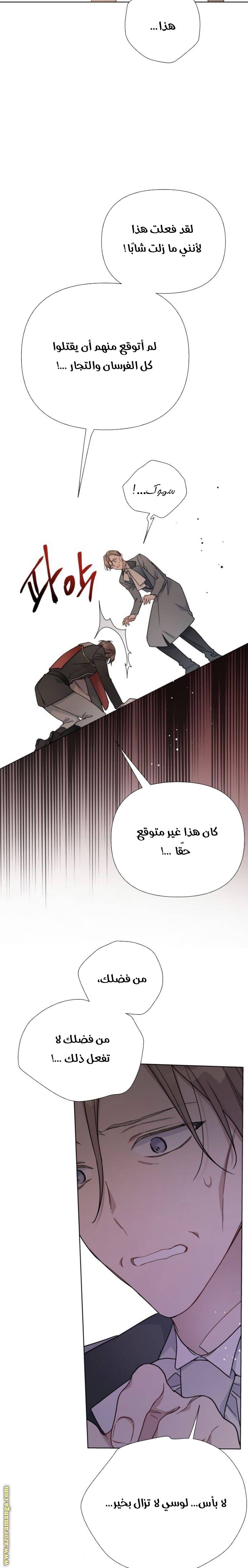 الصفحة 30