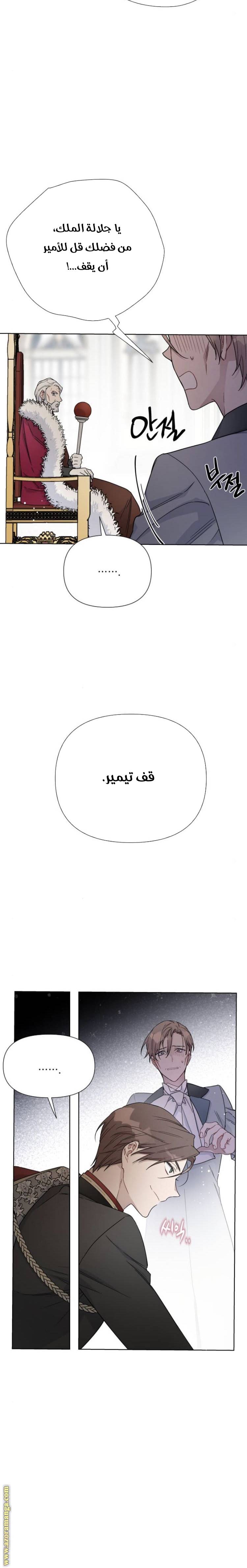 الصفحة 31