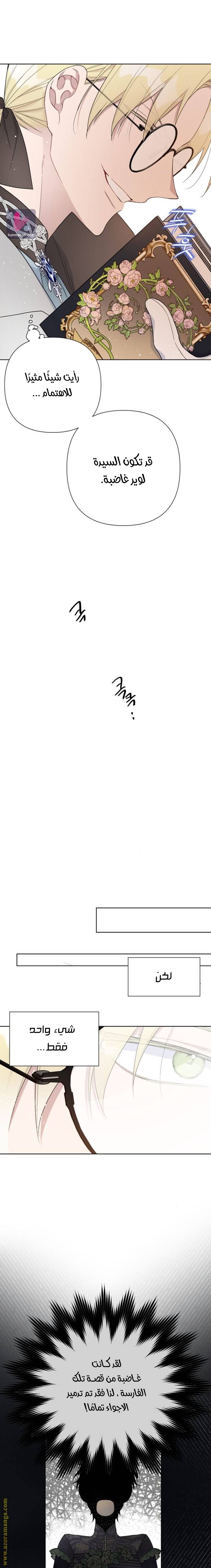 الصفحة 13