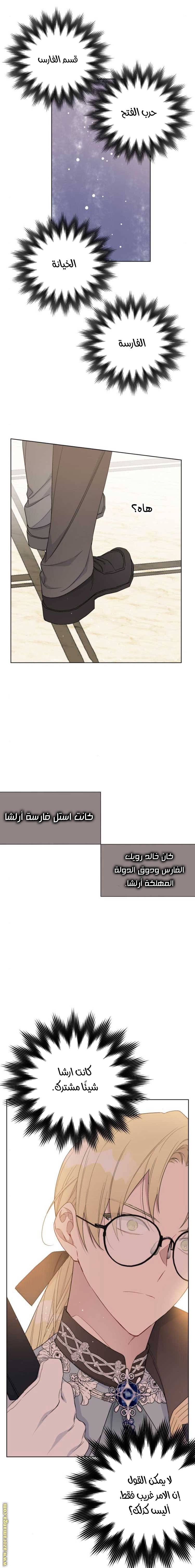 الصفحة 17