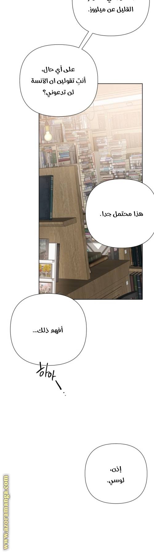 الصفحة 19
