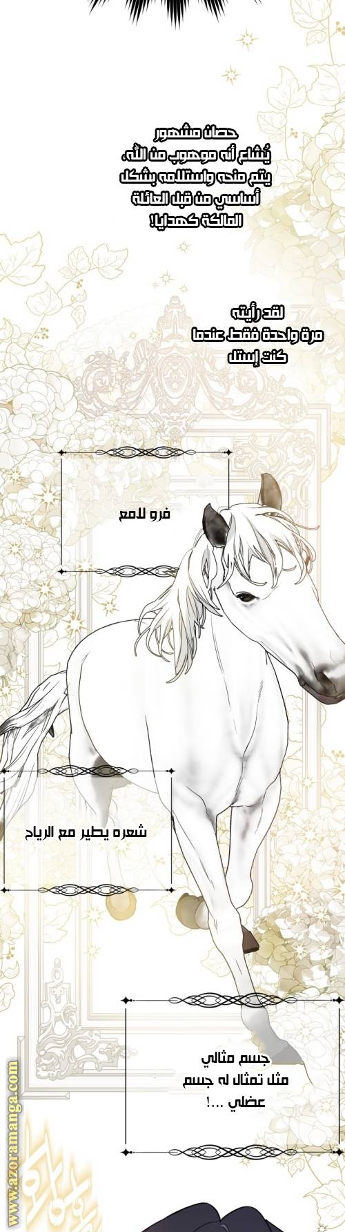 الصفحة 33