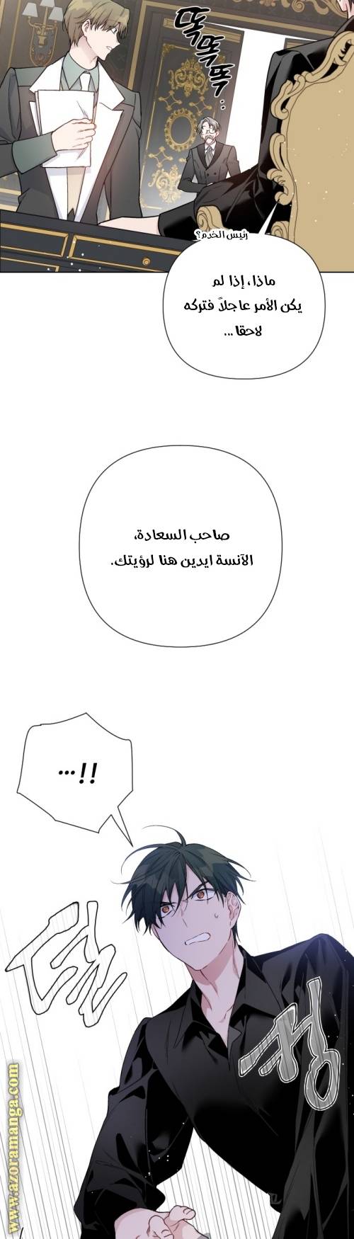الصفحة 47