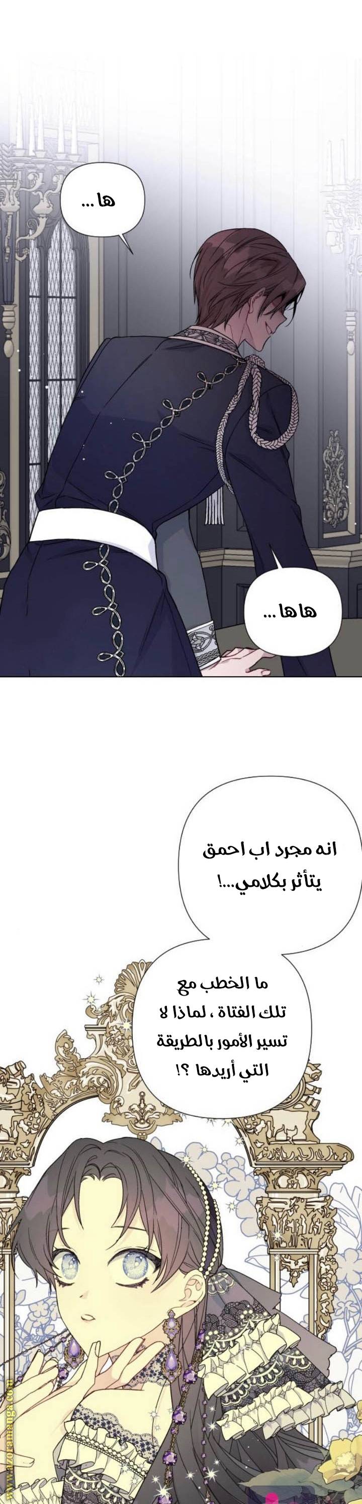 الصفحة 17