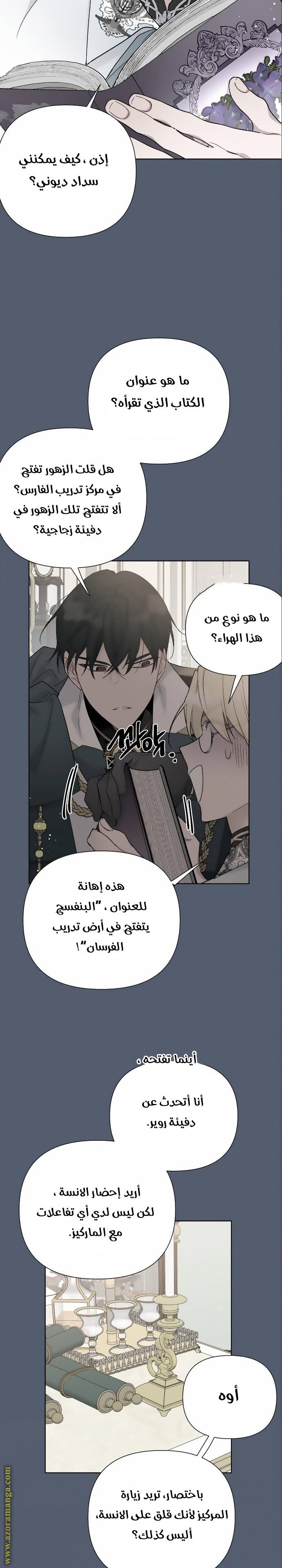 الصفحة 17