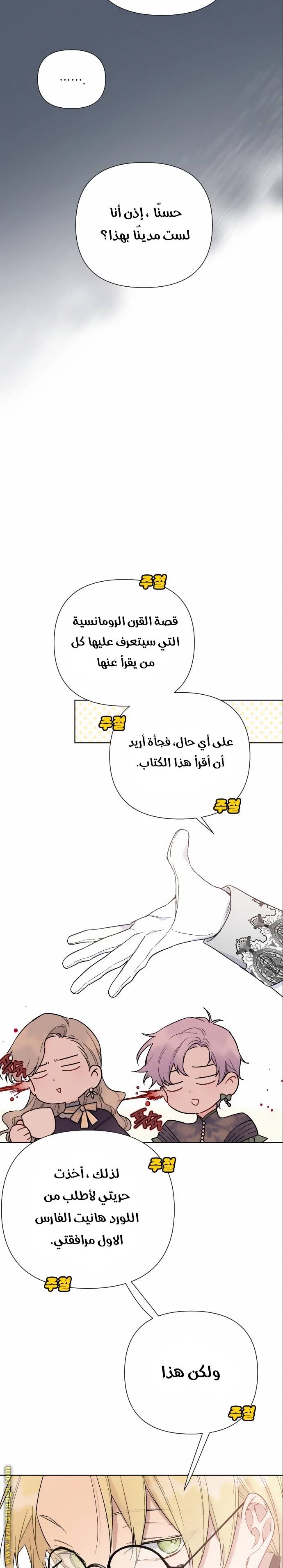 الصفحة 18