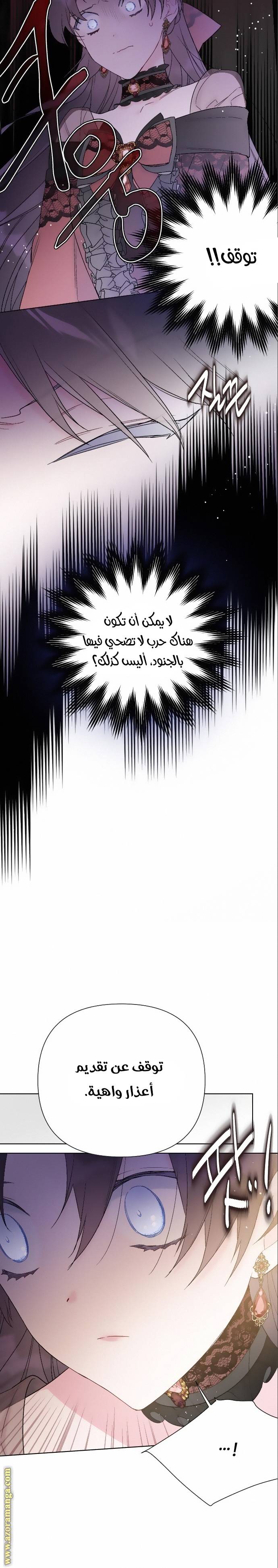 الصفحة 25